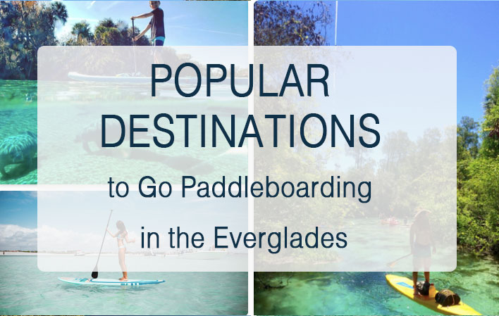 What are Some SUP Boarding Spots in the Everglades